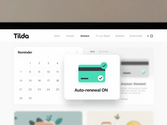 Сколько живет сайт на Тильде? Срок службы сайта на платформе Тильда